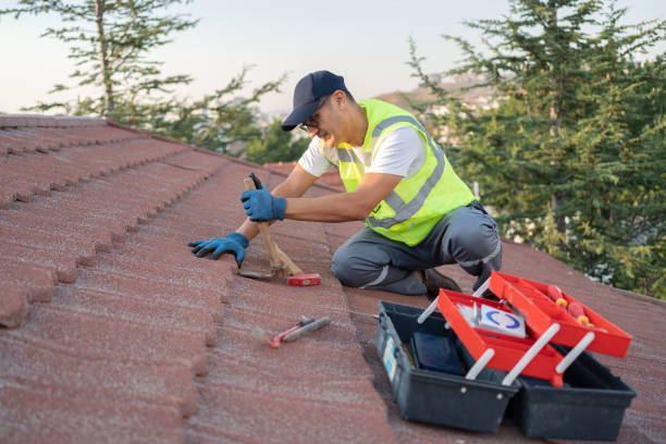 Professional Roofing Contractor in Fresno, TX