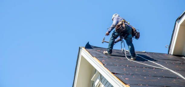 Best Gutter Installation and Roofing  in Fresno, TX